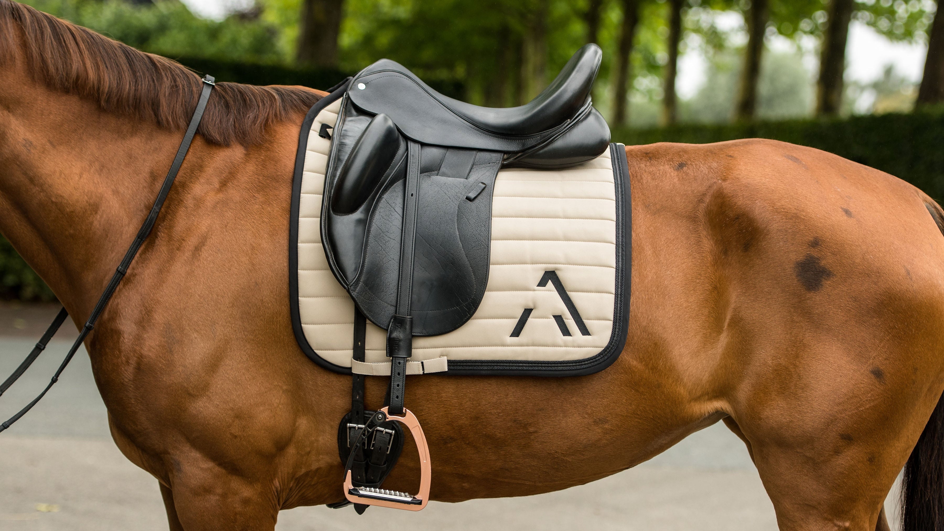 Avoke Vortex Dressage