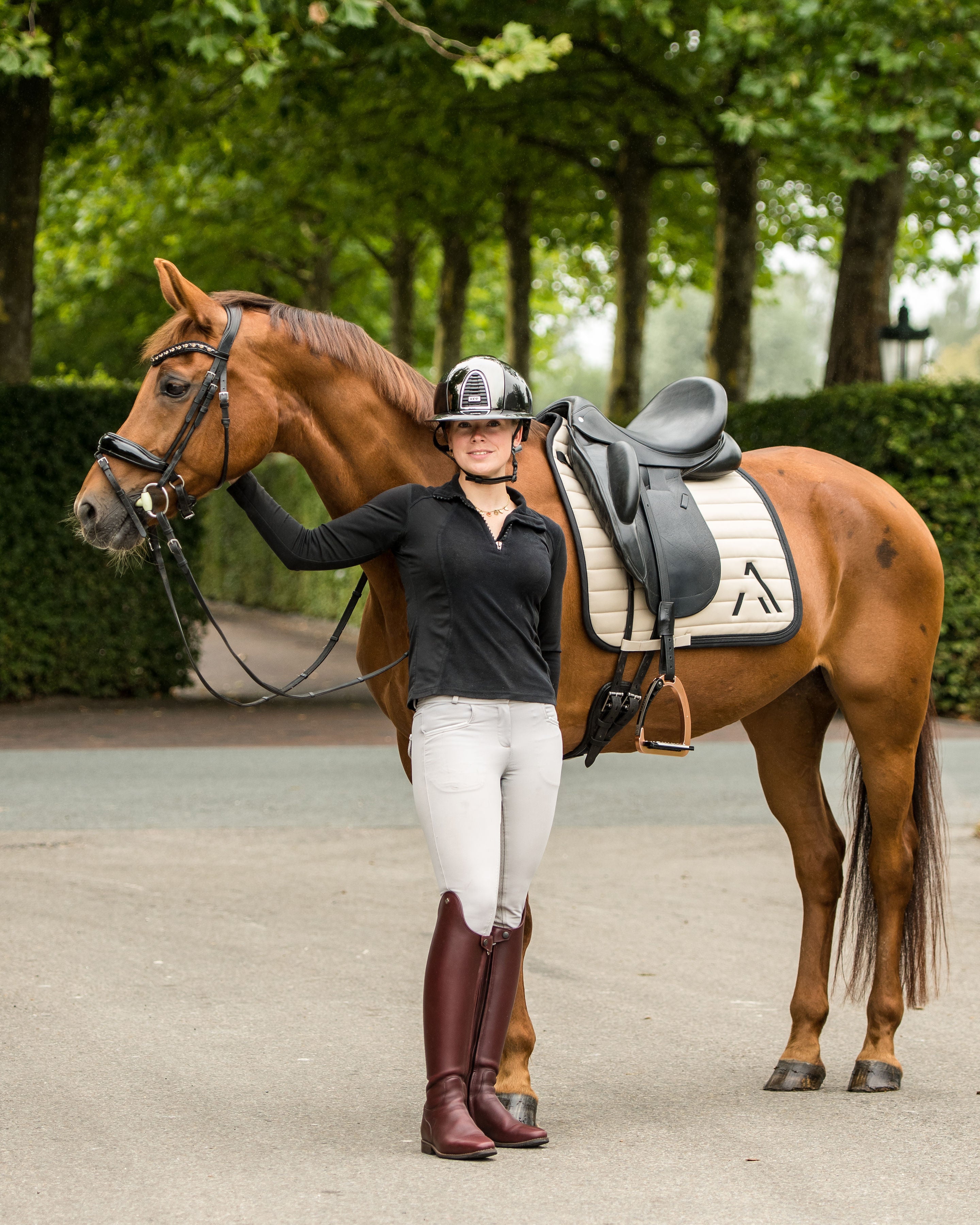 Avoke Vortex Dressage