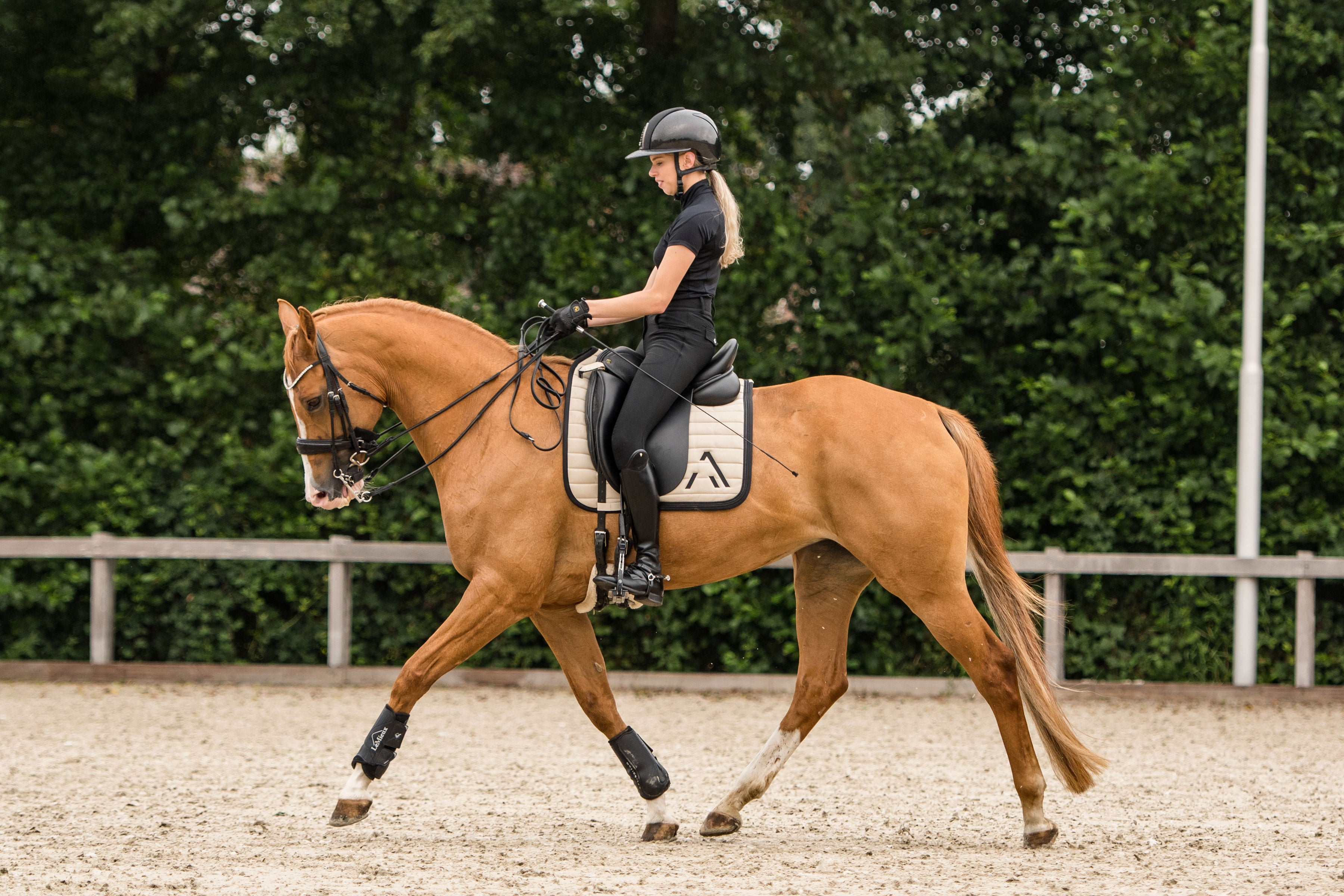 Avoke Vortex Dressage