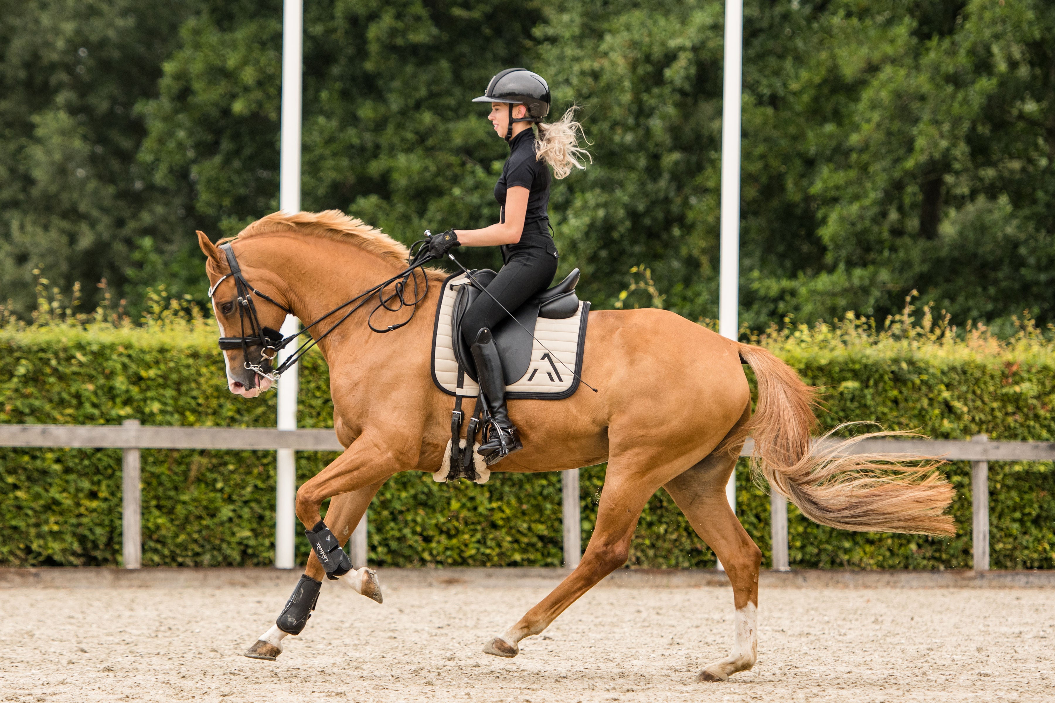 Avoke Vortex Dressage