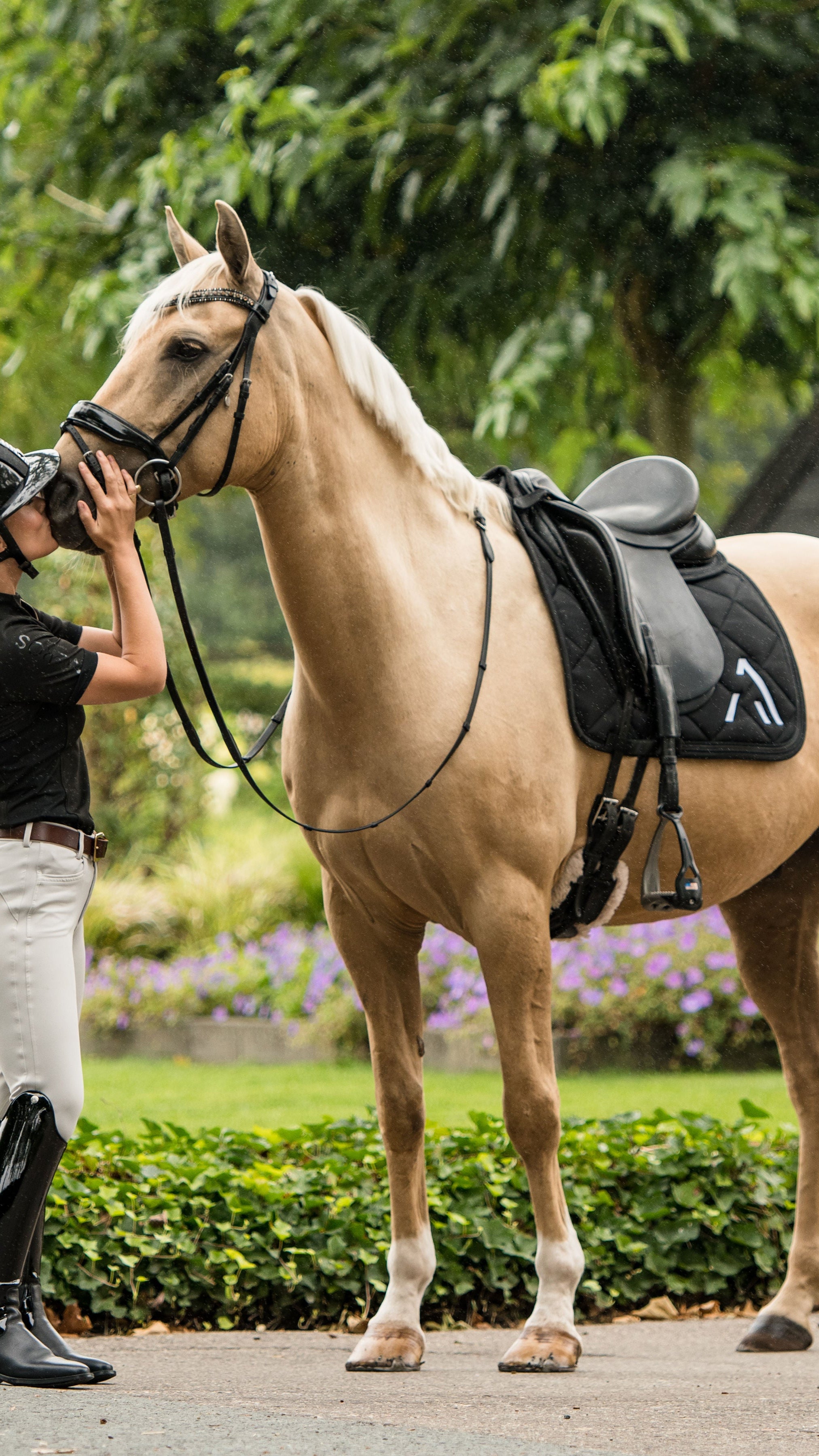 Avoke Helix Dressage