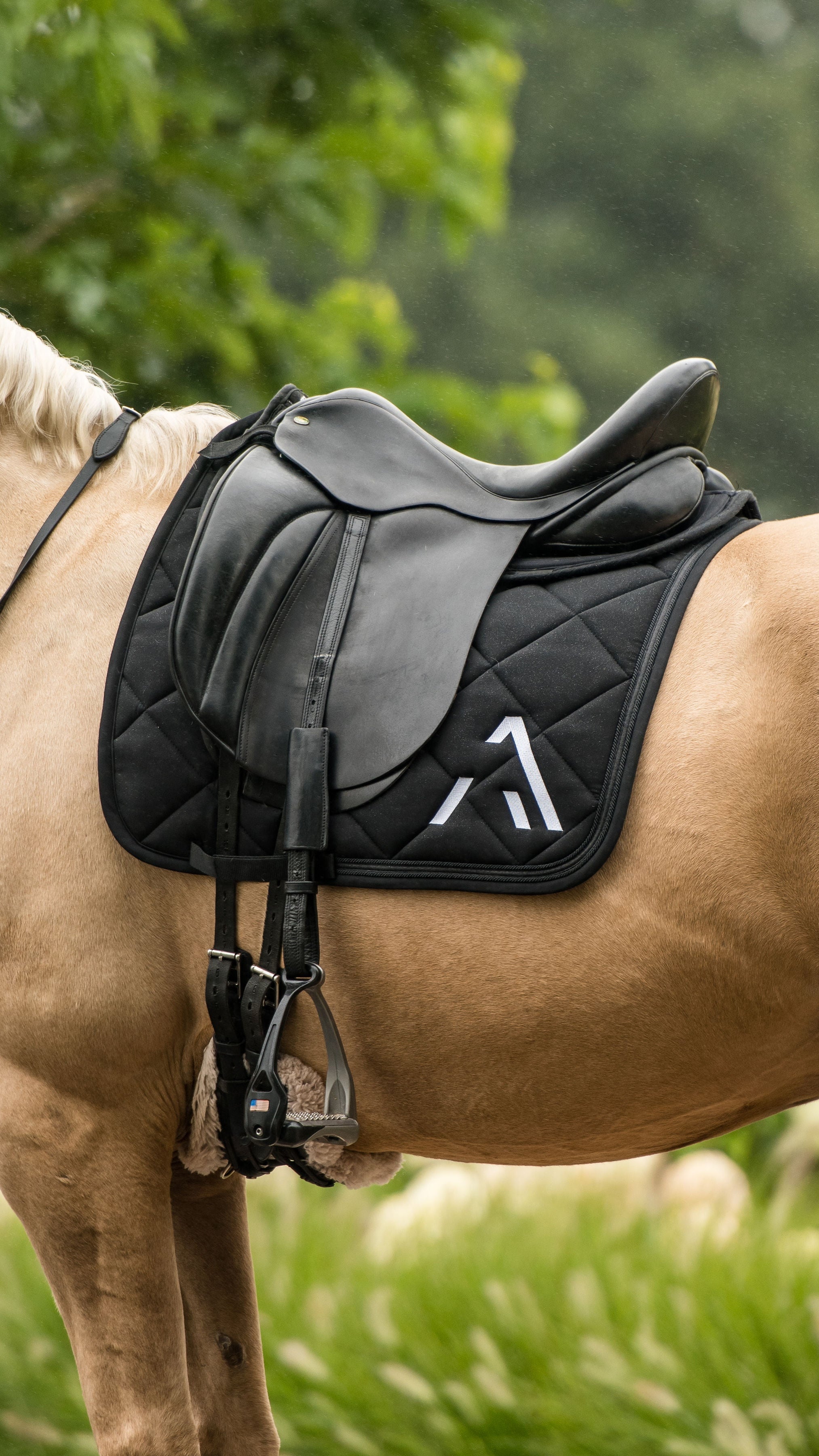 Avoke Helix Dressage
